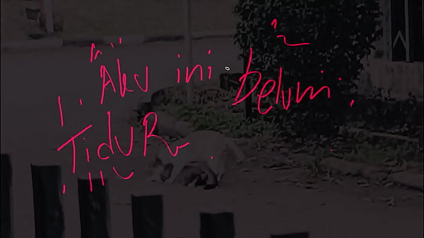 belum tidur pengen ngentot