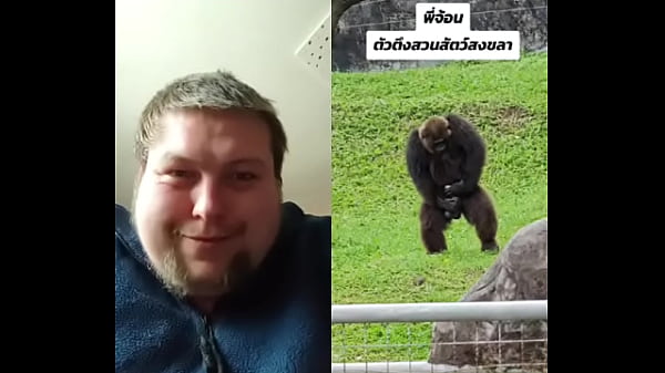 Jungle fever horny monkey